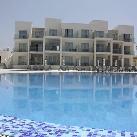 Amphora & Πάφος