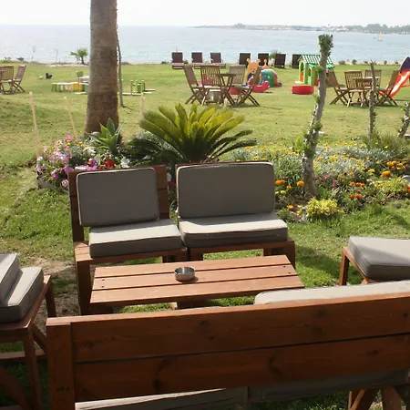 Amphora & Πάφος