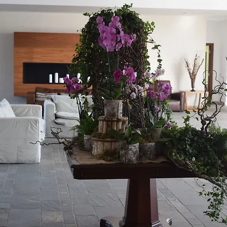 Amphora Hotel&suites Paphos